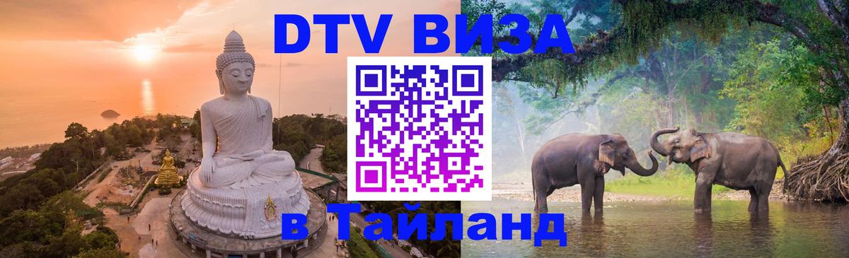 Оформление DTV визы под ключ: стоимость и тарифы, только загранпаспорт - Киров  06.10.2025 